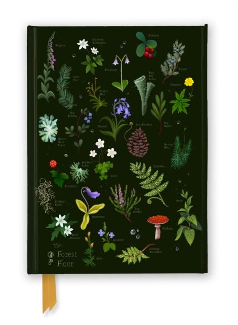 Anna Stead: The Forest Floor (Foiled Journal) (ISBN: 9781835626801)