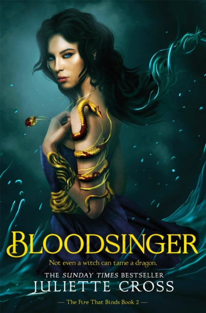 Bloodsinger (ISBN: 9781035052493)