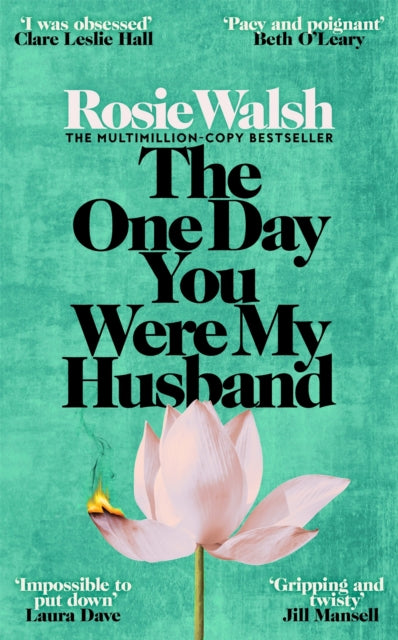 The One Day You Were My Husband (ISBN: 9781035076741)