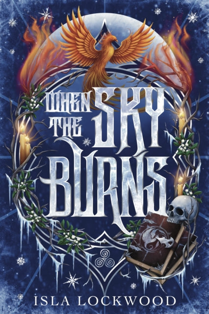 When the Sky Burns : 1 (ISBN: 9781066727315)