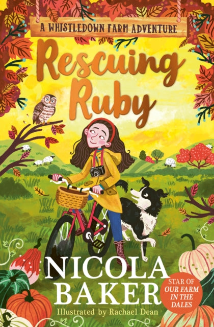 Rescuing Ruby : Volume 2 (ISBN: 9781398527218)
