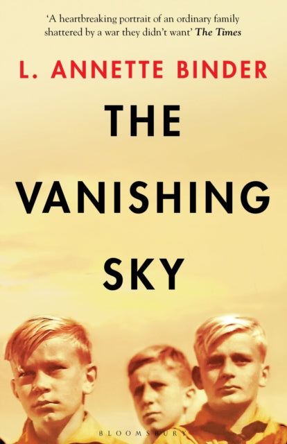 The Vanishing Sky (ISBN: 9781526616746)
