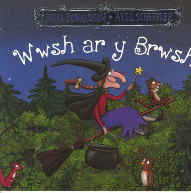 Wwsh ar y Brwsh (ISBN: 9781784231705)