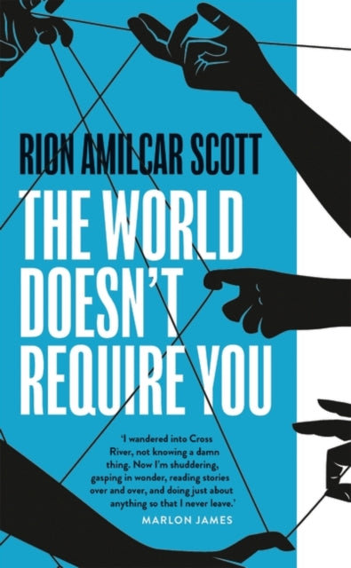The World Doesn't Require You (ISBN: 9781800244337)