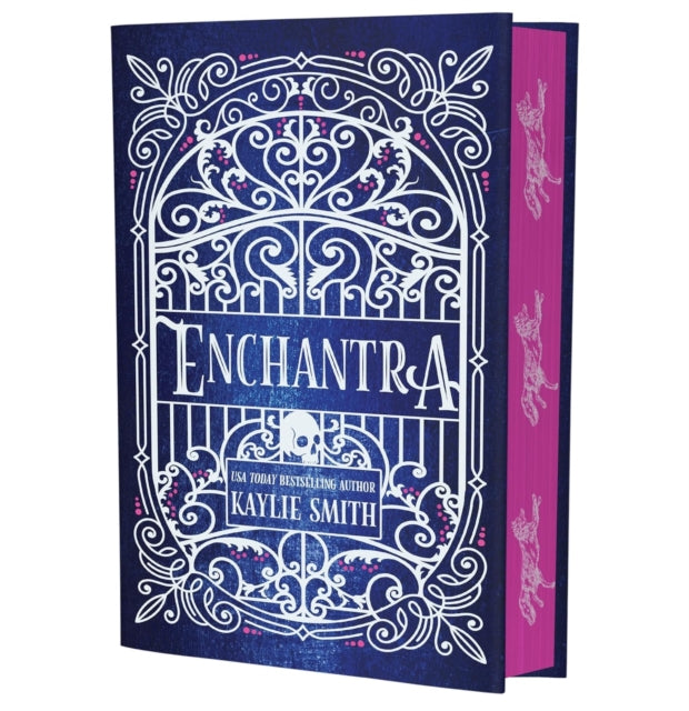 Enchantra : A spicy fantasy romance (ISBN: 9781836186717)